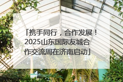 携手同行，合作发展！2025山东国际友城合作交流周在济南启动