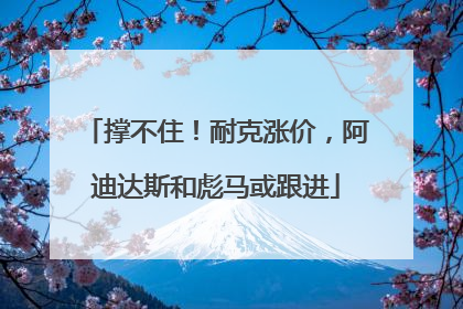 撑不住！耐克涨价，阿迪达斯和彪马或跟进
