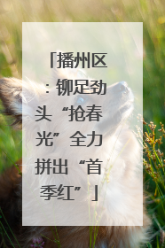 播州区：铆足劲头“抢春光”全力拼出“首季红”