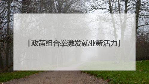 政策组合拳激发就业新活力