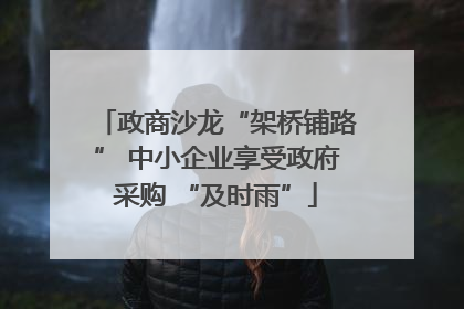 政商沙龙“架桥铺路” 中小企业享受政府采购 “及时雨”