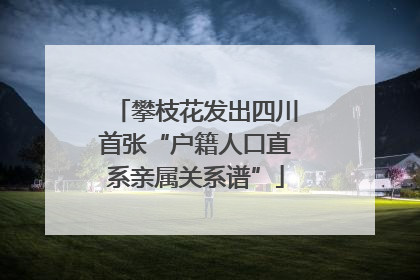 攀枝花发出四川首张“户籍人口直系亲属关系谱”