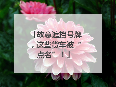 故意遮挡号牌，这些货车被“点名”！