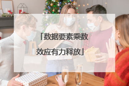 数据要素乘数效应有力释放