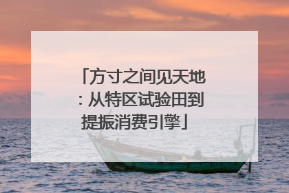 方寸之间见天地：从特区试验田到提振消费引擎