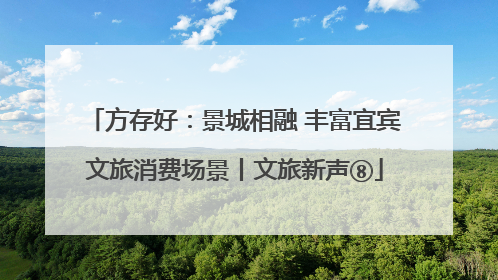 方存好：景城相融 丰富宜宾文旅消费场景丨文旅新声⑧