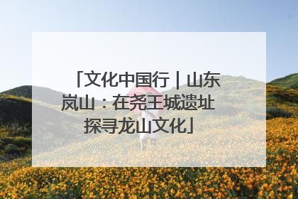 文化中国行｜山东岚山：在尧王城遗址探寻龙山文化