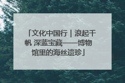 文化中国行｜浪起千帆 深蓝宝藏——博物馆里的海丝遗珍