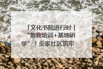 文化书院进行时｜“急救培训+基地研学”！桑家社区筑牢居民健康防线