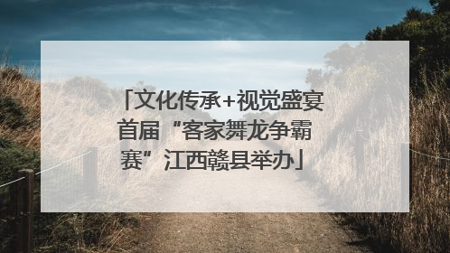 文化传承+视觉盛宴 首届“客家舞龙争霸赛”江西赣县举办