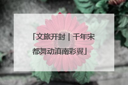 文旅开封｜千年宋都舞动滇南彩翼