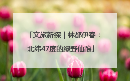 文旅新探｜林都伊春：北纬47度的绿野仙踪