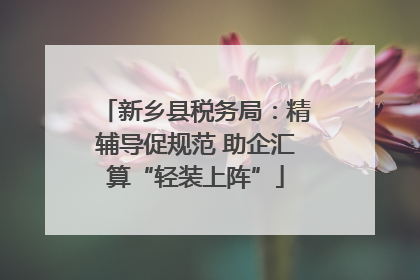 新乡县税务局：精辅导促规范 助企汇算“轻装上阵”
