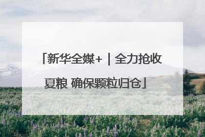 新华全媒+｜全力抢收夏粮 确保颗粒归仓