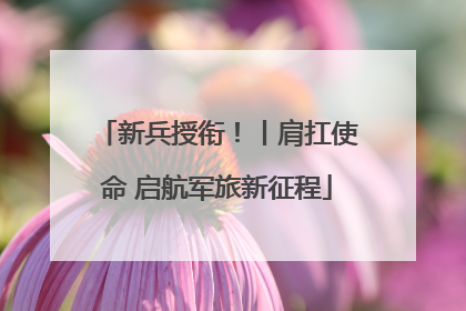 新兵授衔！丨肩扛使命 启航军旅新征程