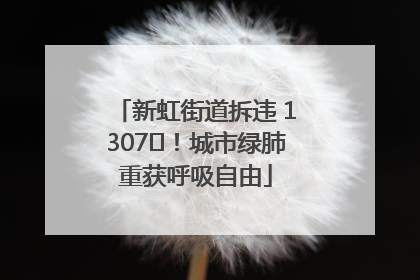 新虹街道拆违 1307㎡！城市绿肺重获呼吸自由