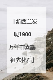新西兰发现1900万年前喜鹊祖先化石