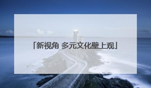 新视角 多元文化壁上观