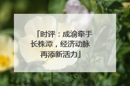 时评：成渝牵手长株潭，经济动脉再添新活力