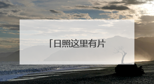 日照这里有片向日葵花海！