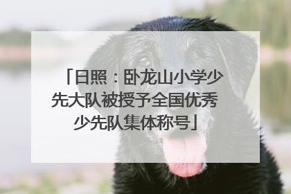 日照：卧龙山小学少先大队被授予全国优秀少先队集体称号