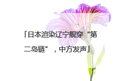 日本渲染辽宁舰穿“第二岛链”，中方发声