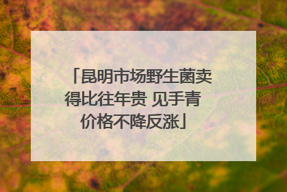 昆明市场野生菌卖得比往年贵 见手青价格不降反涨
