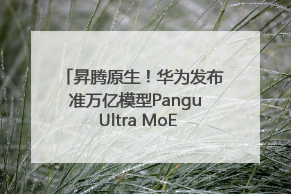昇腾原生！华为发布准万亿模型Pangu Ultra MoE模型架构和训练细节