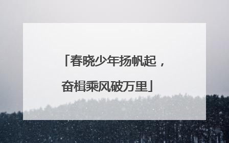 春晓少年扬帆起，奋楫乘风破万里