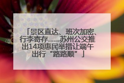 景区直达、班次加密、行李寄存……苏州公交推出14项惠民举措让端午出行“路路顺”