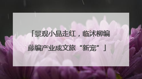 景观小品走红，临沭柳编藤编产业成文旅“新宠”
