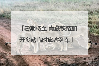 暑期将至 青藏铁路加开多趟临时旅客列车
