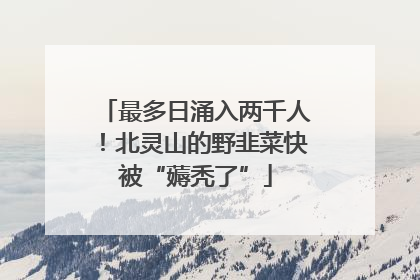最多日涌入两千人！北灵山的野韭菜快被“薅秃了”