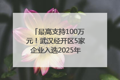 最高支持100万元！武汉经开区5家企业入选2025年度武汉市重点研发计划拟立项项目名单