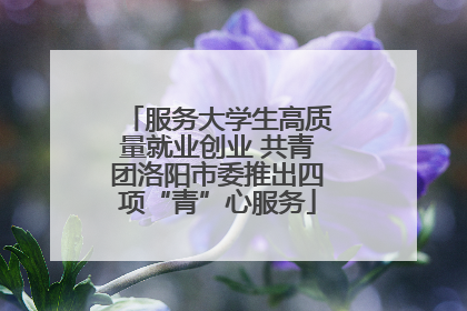 服务大学生高质量就业创业 共青团洛阳市委推出四项“青”心服务