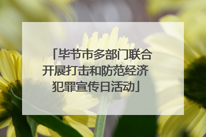 毕节市多部门联合开展打击和防范经济犯罪宣传日活动