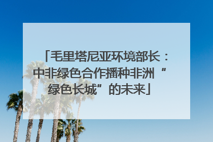 毛里塔尼亚环境部长：中非绿色合作播种非洲“绿色长城”的未来