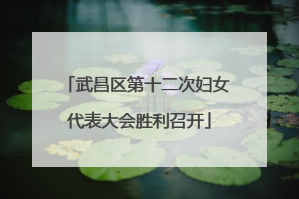 武昌区第十二次妇女代表大会胜利召开