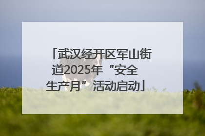 武汉经开区军山街道2025年“安全生产月”活动启动