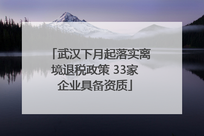 武汉下月起落实离境退税政策 33家企业具备资质