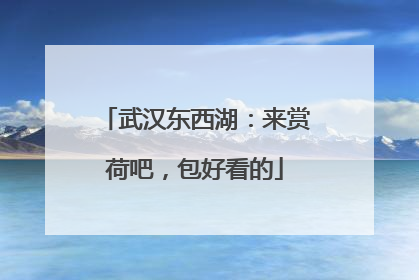 武汉东西湖：来赏荷吧，包好看的