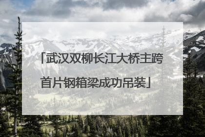 武汉双柳长江大桥主跨首片钢箱梁成功吊装