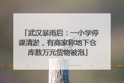 武汉暴雨后：一小学停课清淤，有商家称地下仓库数万元货物被泡