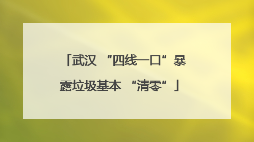武汉 “四线一口”暴露垃圾基本 “清零”
