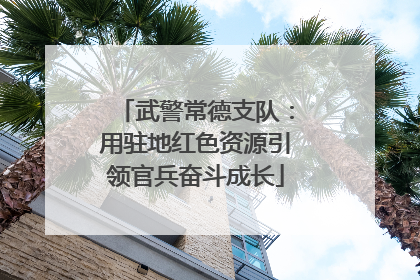 武警常德支队：用驻地红色资源引领官兵奋斗成长