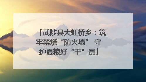 武陟县大虹桥乡：筑牢禁烧“防火墙” 守护夏粮好“丰”景