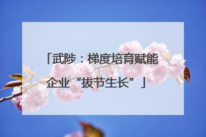 武陟：梯度培育赋能企业“拔节生长”