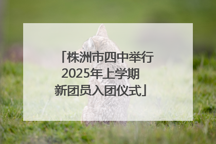 株洲市四中举行2025年上学期新团员入团仪式