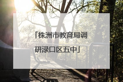 株洲市教育局调研渌口区五中