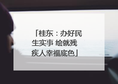 桂东：办好民生实事 绘就残疾人幸福底色
